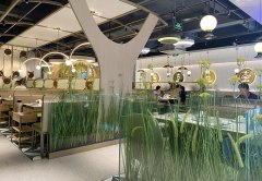 餐廳生意不好應(yīng)該怎么辦，餐飲老兵的8條建議：其中有幾條餐飲人都踩過！